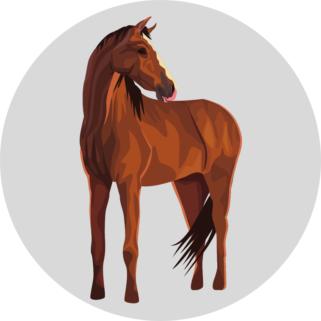 Horses