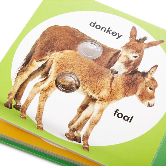 Poke-A-Dot: Farm Animal Families
