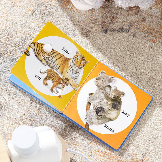 Poke-A-Dot: Wild Animal Families
