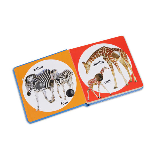 Poke-A-Dot: Wild Animal Families
