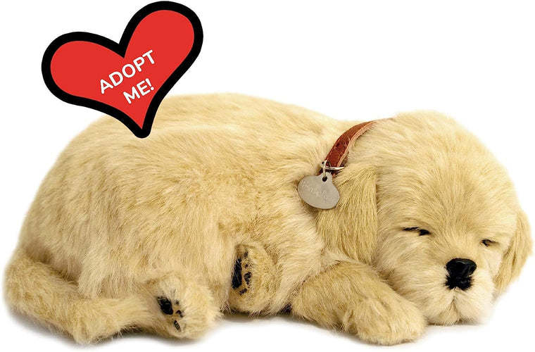 Golden Retriever Perfect Petzzz