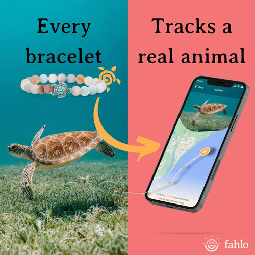 The Journey Sea Turtle Tracking Bracelet