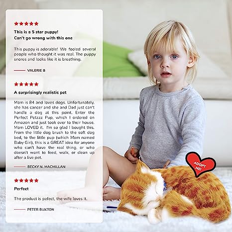 Orange and White Tabby Perfect Petzzz