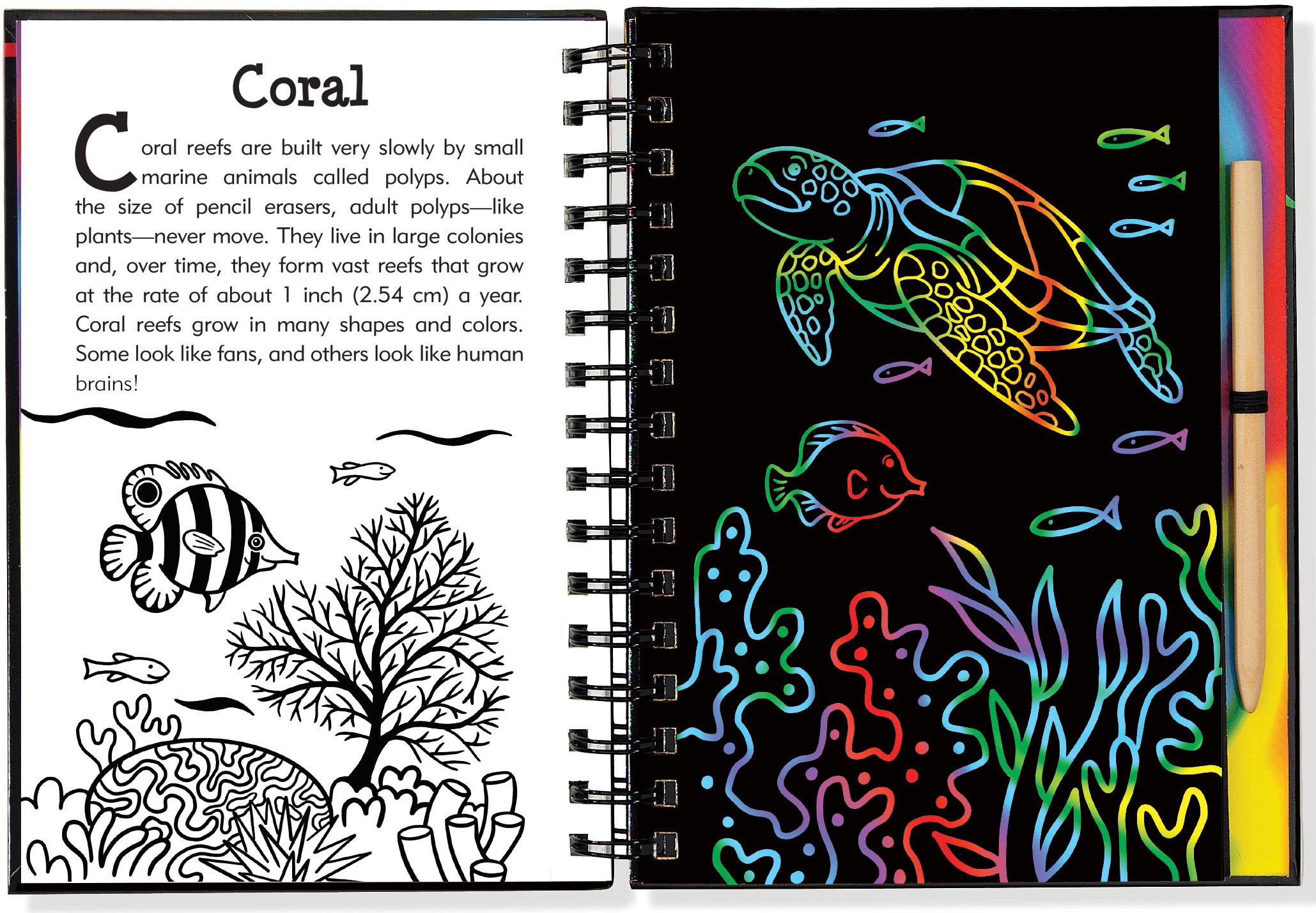 Under the Sea Scratch and Sketch