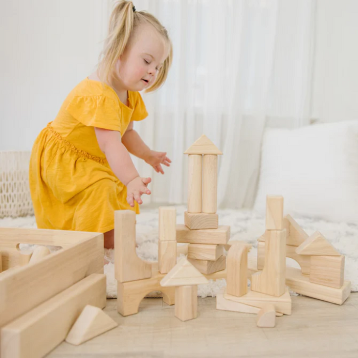 Standard Unit Blocks 60 Piece