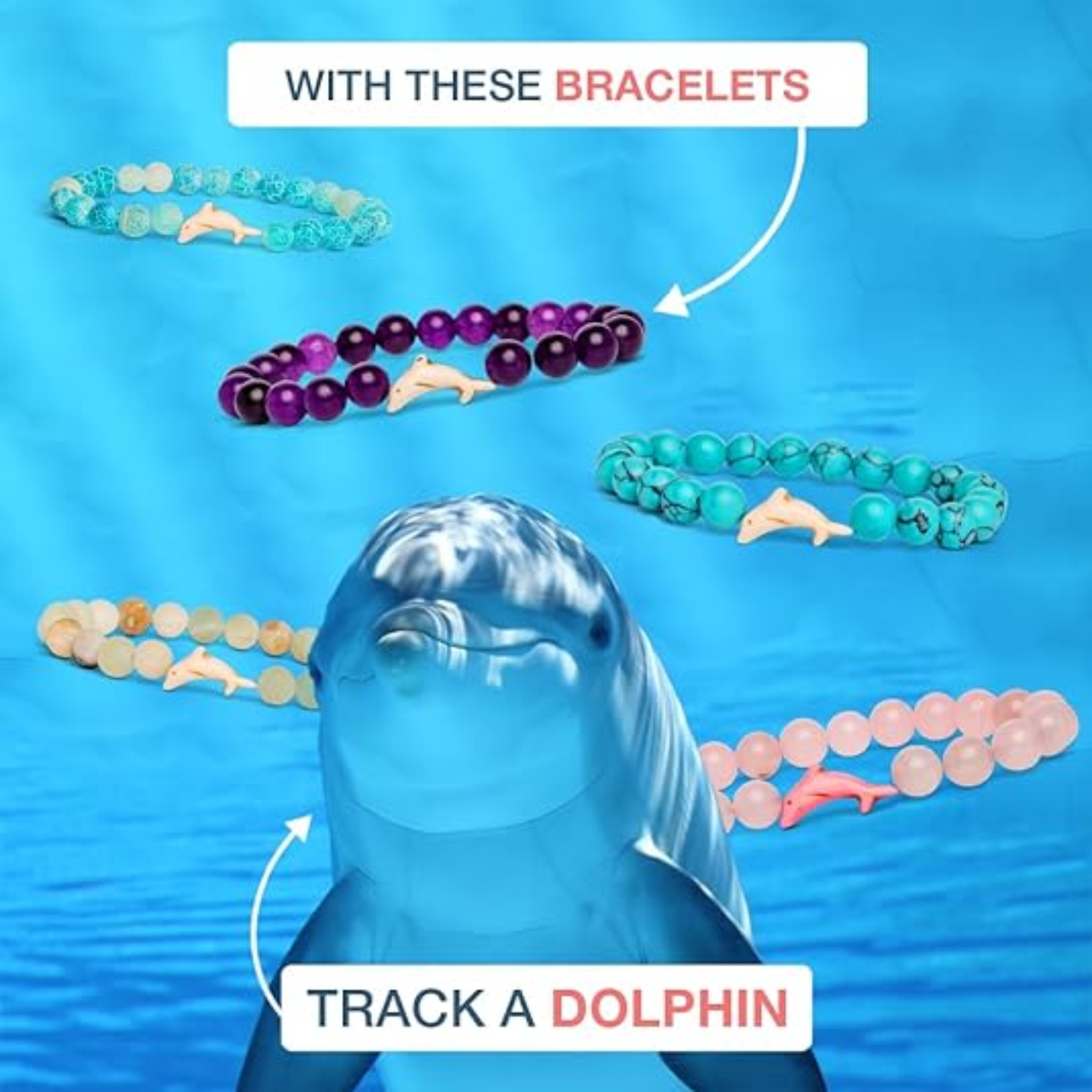 The Odyssey Dolphin Tracking Bracelet