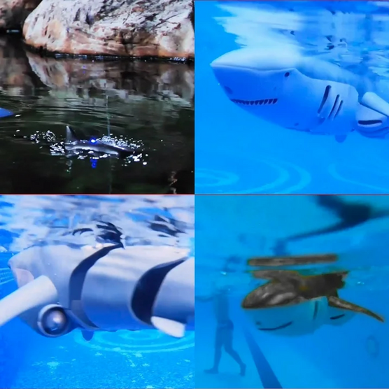 Remote Control Shark Toy