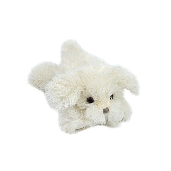 Sugar Maltese Puppy White Mon Ami