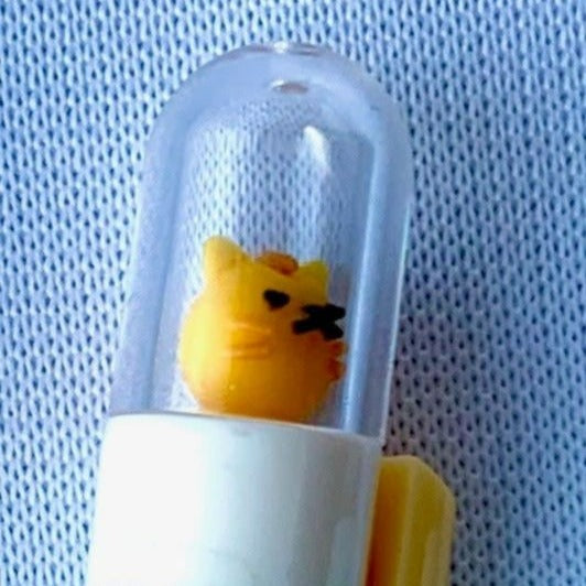 Peekaboo Cat Gel Pen