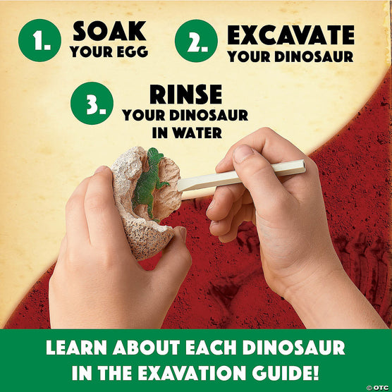 Dig it Up Dinosaur Eggs