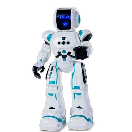 ROBBIE Smart Bot